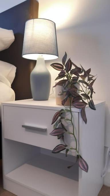 Free Parking Spacious Home Cardiff Bagian luar foto